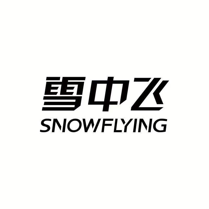 雪中飛